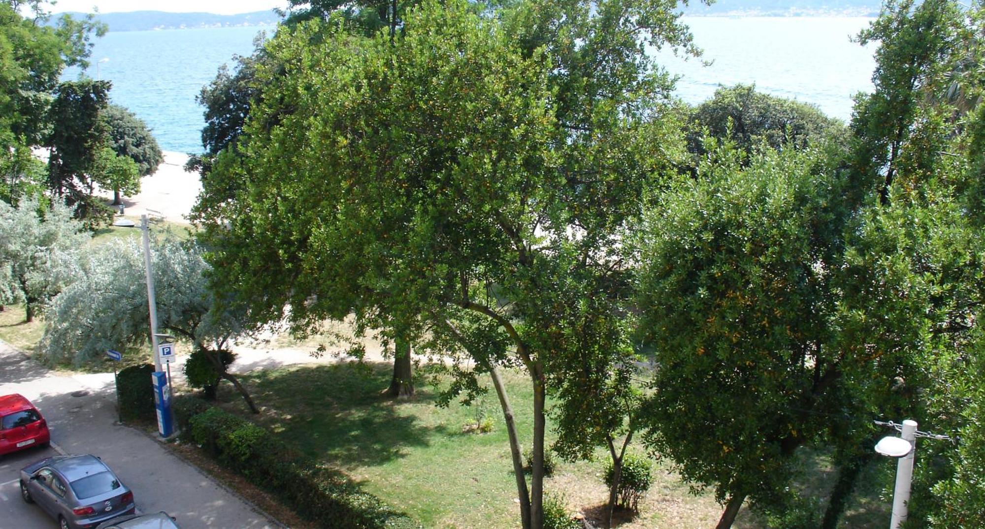 זאדאר Apartment Jelena מראה חיצוני תמונה